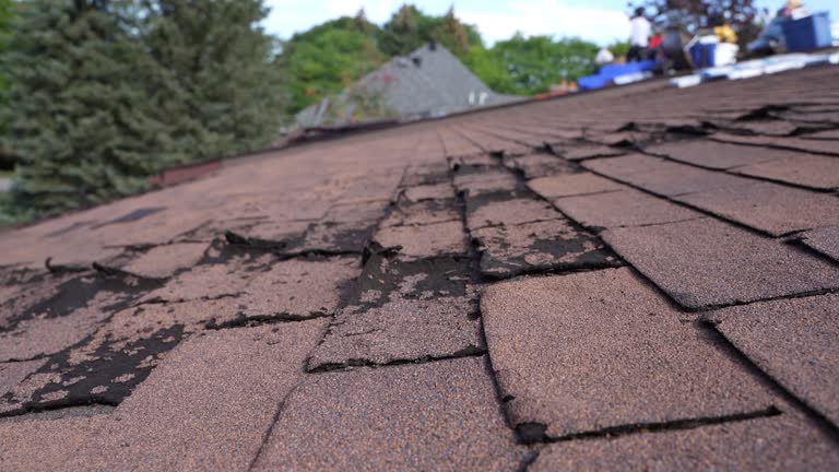Best Wood Shake Roofing  in Kaanapali, HI