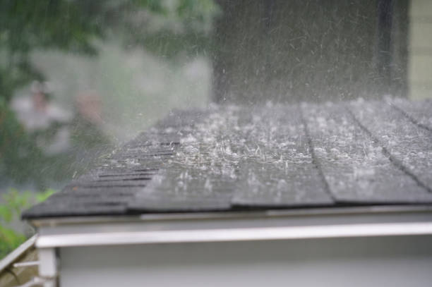 Best Green or Eco-Friendly Roofing Solutions  in Kaanapali, HI